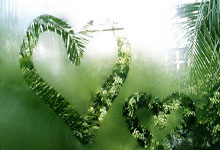 打(dǎ)破勇士王朝！77胜5负！这战绩太恐怖了...