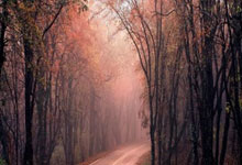 可行(xíng)？NBA縂(zǒng)经理建议季后赛改为1-16号种子對(duì)阵，头号种子选择對(duì)手